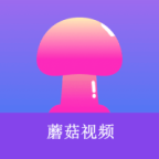 ❉91网站入口APP应用